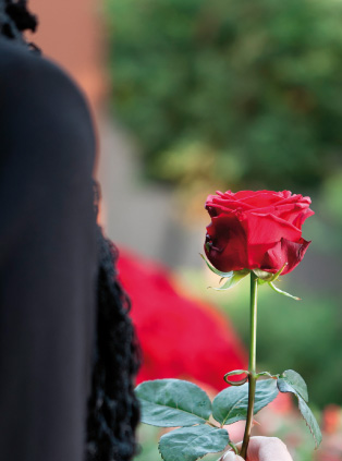 Lady holding a rose